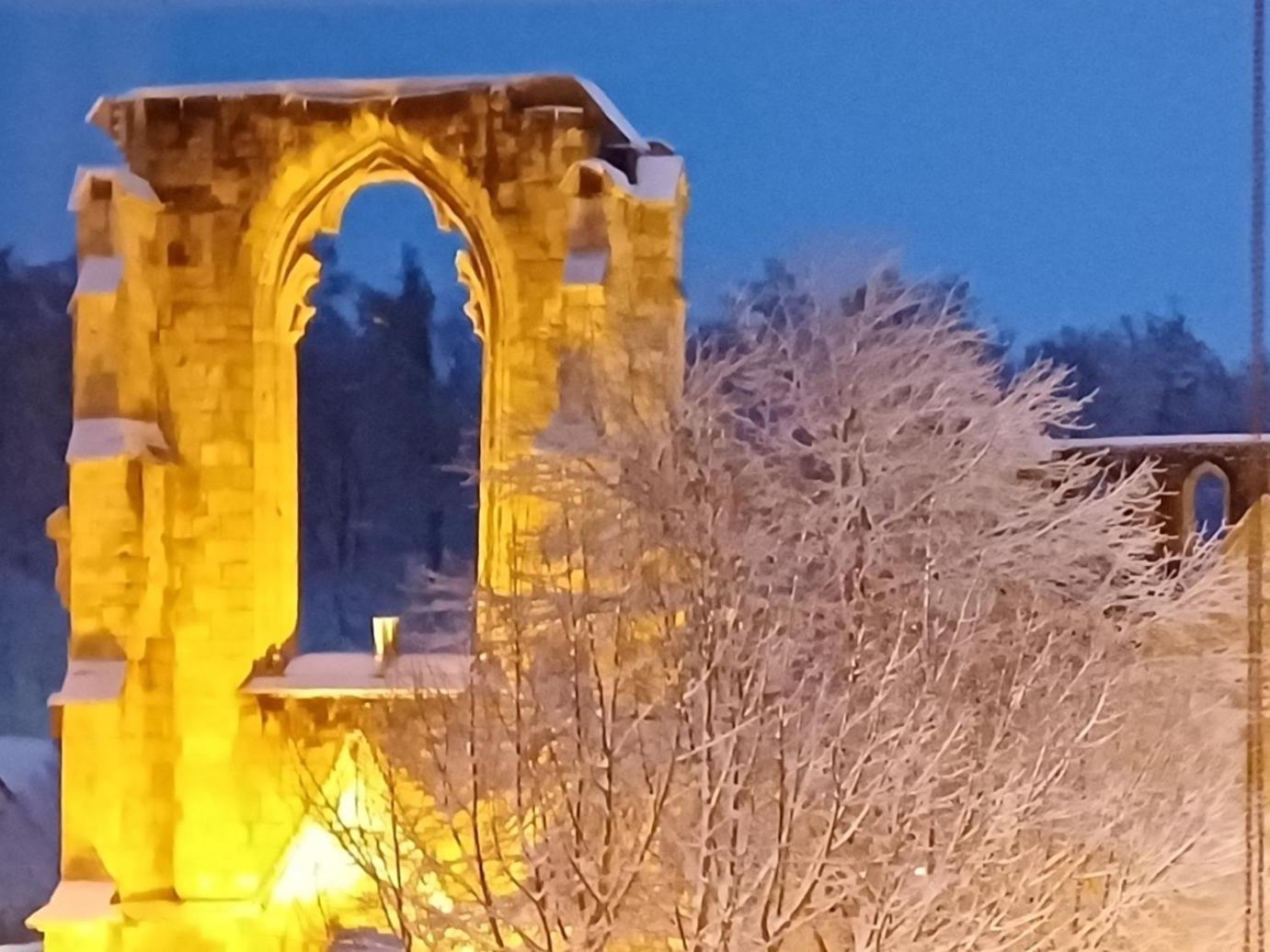 Ferienwohnungen Klosterblick Walkenried Esterno foto