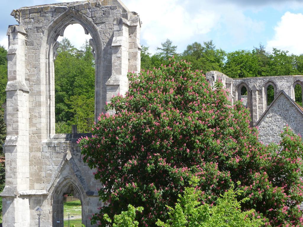 Ferienwohnungen Klosterblick Walkenried Esterno foto