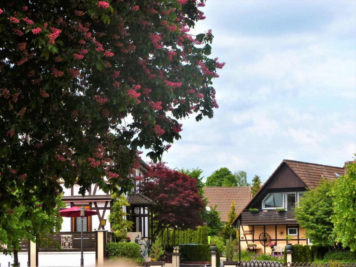 Ferienwohnungen Klosterblick Walkenried Esterno foto